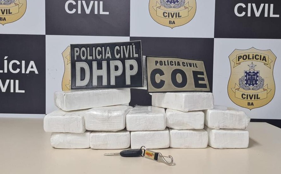 Droga apreendida na região metropolitana de Salvador — Foto: Divulgação/Polícia Civil 