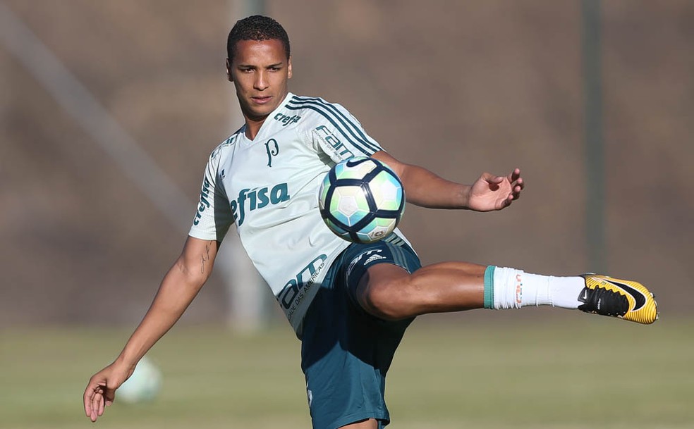 Deyverson pode ser titular contra o Avaí  (Foto: Ag. Palmeiras/Divulgação)