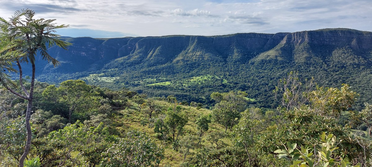 Desmatamento aqueceu Cerrado em 0,9°C e reduziu 10% da produção de umidade