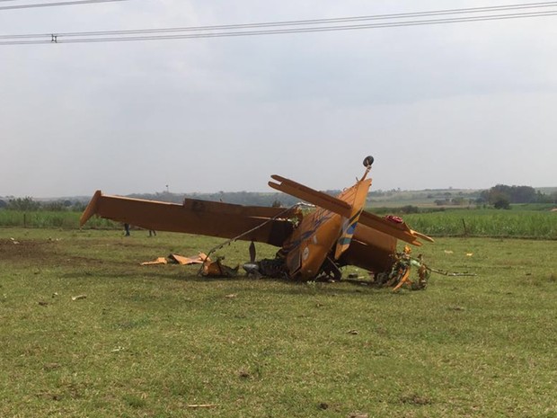 Avião caiu em propriedade rural entre Ibirá e Elisiário (Foto: Reprodução / TV TEM)