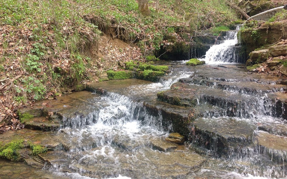 A 'água crua' é retirada de fontes naturais (Foto: mgodinho/Creative Commons)