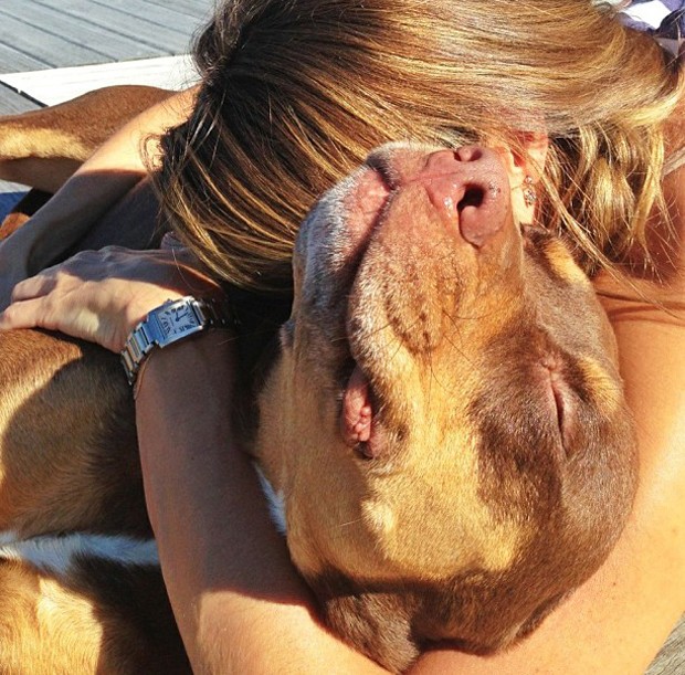 Gisele Bündchen e a pitbull Vida (Foto: Reprodução/Instagram)