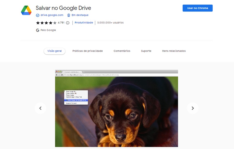 Extensão Salvar no Google Drive permite salvar PDFs, imagens, links e áudios — Foto: Reprodução/Google Chrome