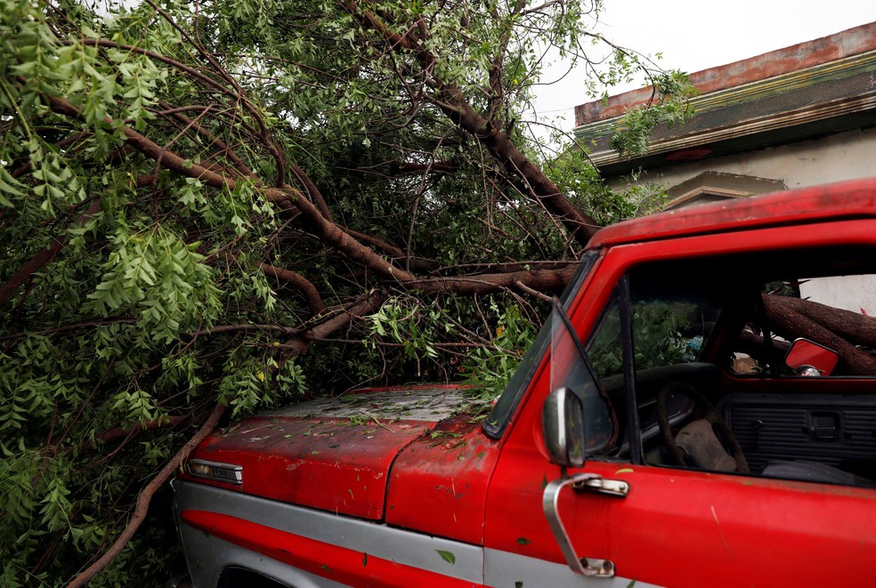 Árvore cai em um carro em Escuinapa, no sul do estado de Sinaloa, depois da passagem do furacão Willa, no México, nesta quarta-feira (24)  — Foto: Henry Romero/ Reuters 