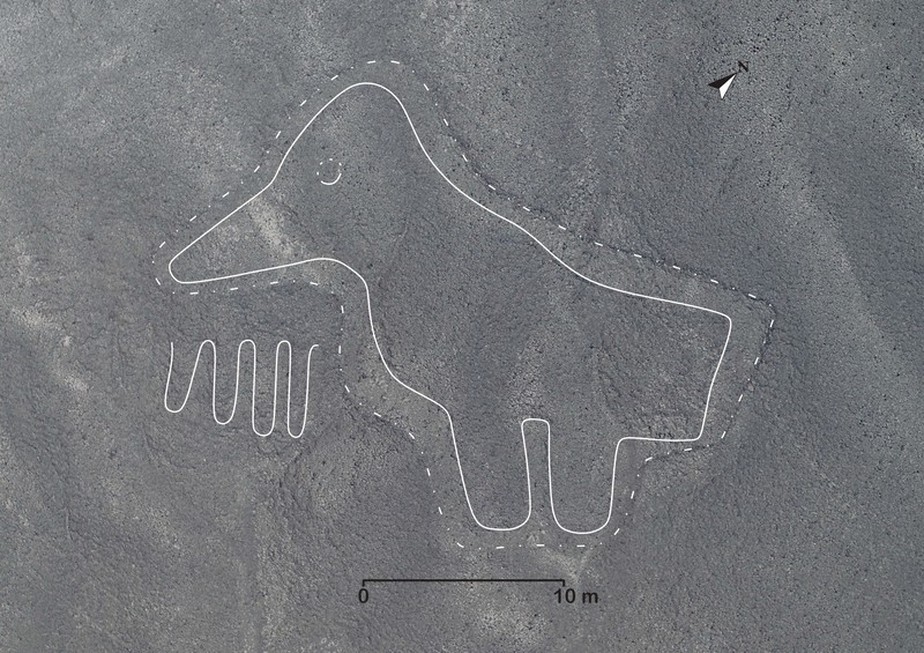 168 geoglifos são encontrados em Nazca pela equipe da Universidade de Yamagata