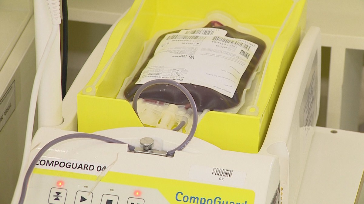 Saiba como doar sangue no RS; hemocentros e hospitais registram baixo ...