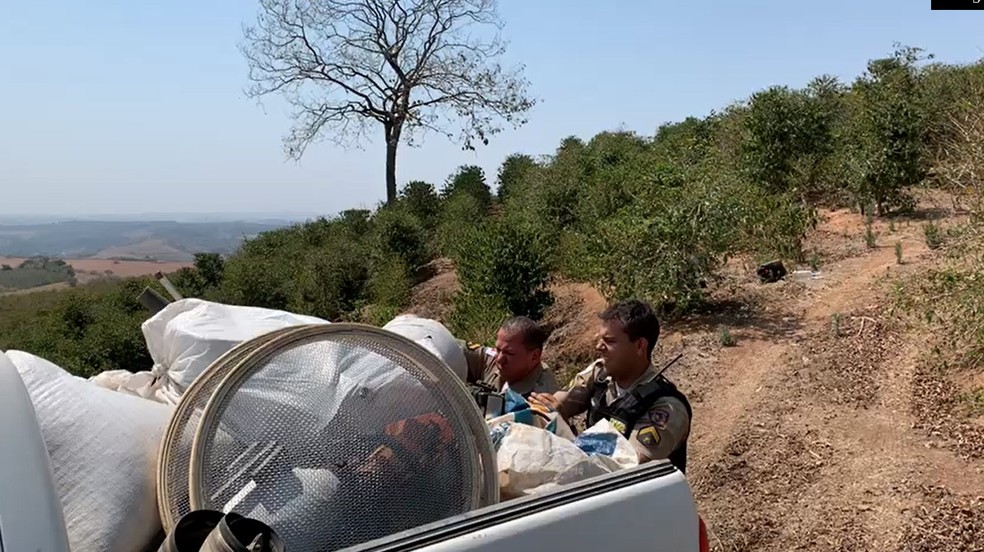 Operação conjunta das polícias civil e militar prende suspeito e recuperou materiais de produção de café em Elói Mendes (MG) — Foto: Divulgação/Polícia Civil