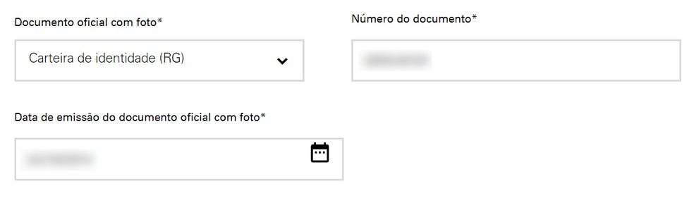 Seção do formulário destinada à inserção de documentos — Foto: Reprodução/Ana Letícia Loubak