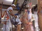 Comissão da Arábia Saudita visita quatro frigoríficos de bovinos em MT