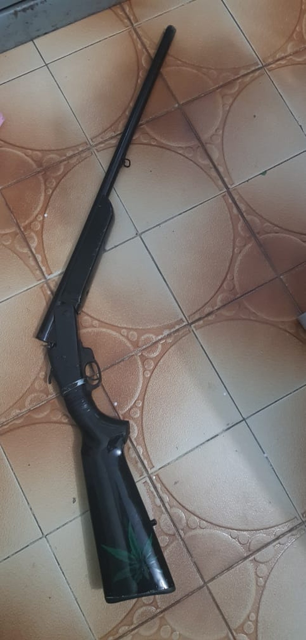 Armas de fogo também foram apreendidas na operação — Foto: Divulgação