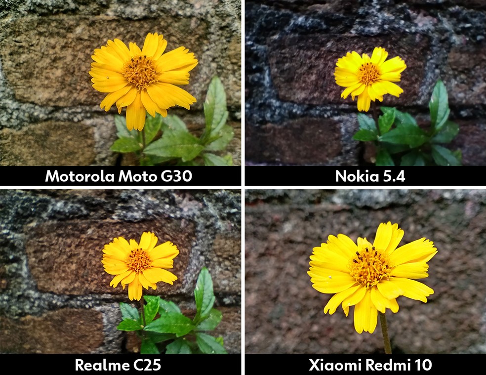 Nas fotos com a lente macro, os resultados não empolgam em nenhuma câmera dos intermediários — Foto: Henrique Martin/g1