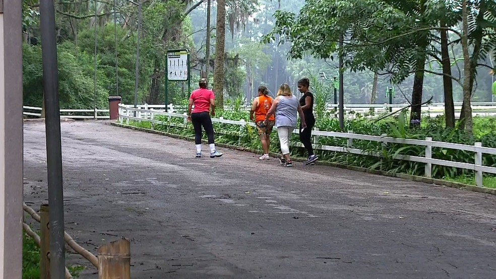 Público volta a utilizar o Horto Florestal (Foto: Reprodução/TV Globo)