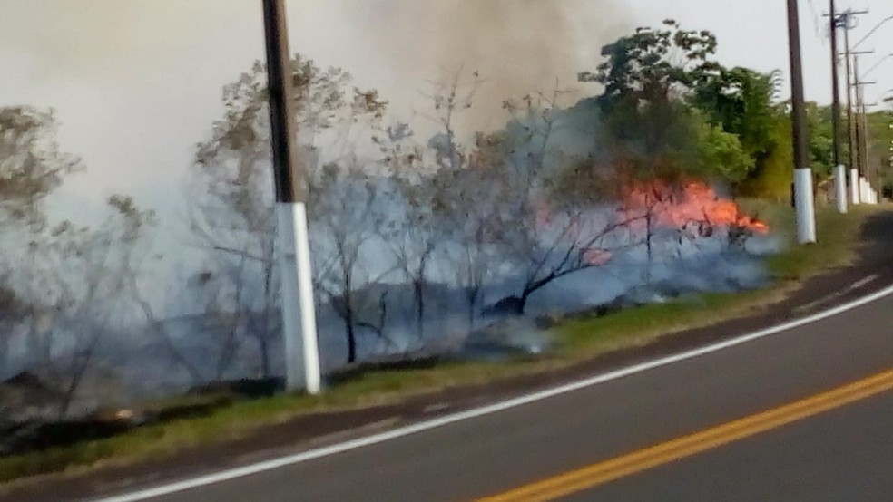 Incêndio atingiu área de vegetação no Balneário Laranja Doce, em Martinópolis — Foto: Compdec