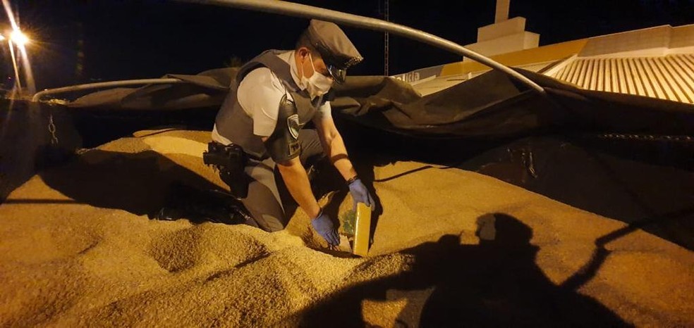 Centenas de tijolos de maconha s&atilde;o encontrados em carreta que transportava arroz &mdash; Foto: Pol&iacute;cia Militar Rodovi&aacute;ria/Divulga&ccedil;&atilde;o