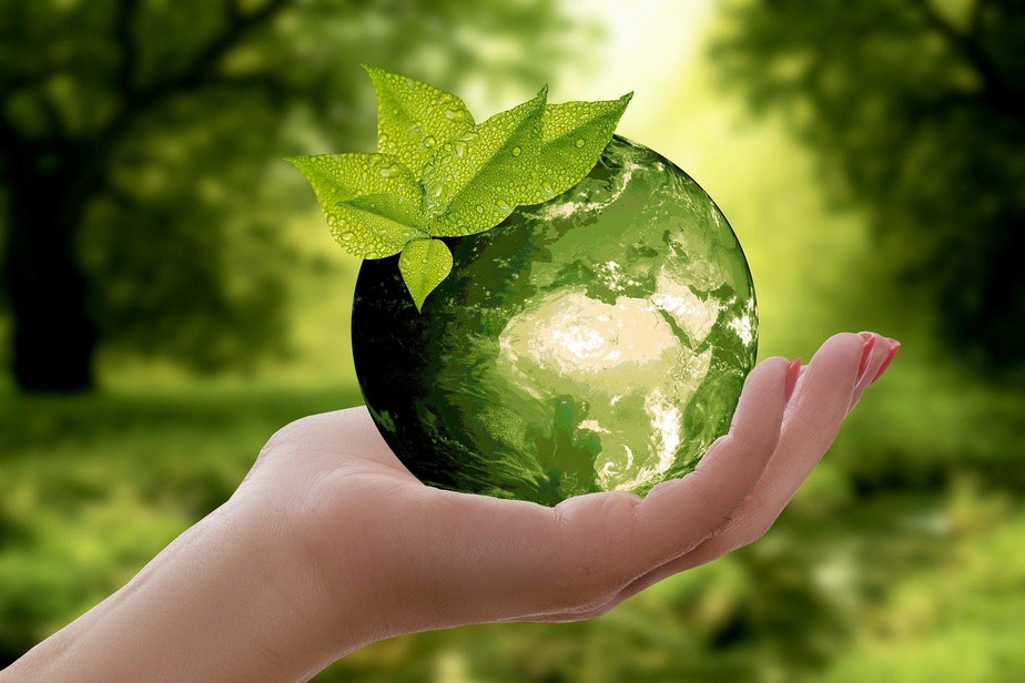 ambiente; natureza; verde; mundo sustentável