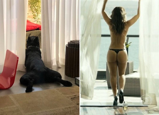Paolla Oliveira diverte-se com pose de seu cachorro (Foto: Reprodução/Instagram/Reprodução/TV Globo)