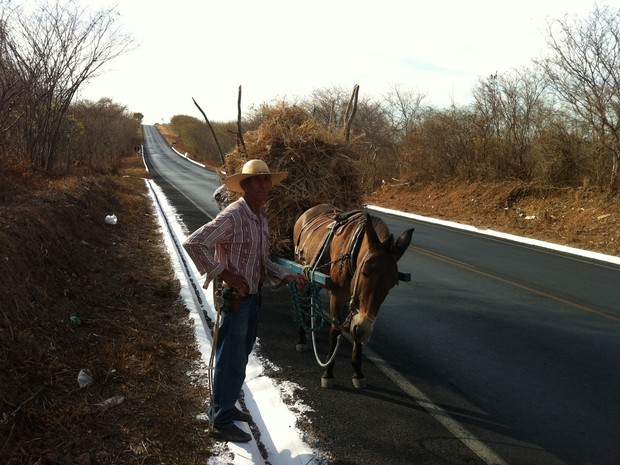 José Maria Neto tem que procurar capim todos os dias para alimentar seus cavalos (Foto: Adriana Lisboa / G1)