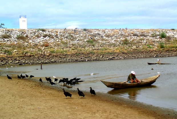 Água do açude Dourado ainda é utilizada para abastecer parte da cidade. Pescadores e urubus tentam aproveitar o pouco que resta (Foto: Anderson Barbosa/G1)