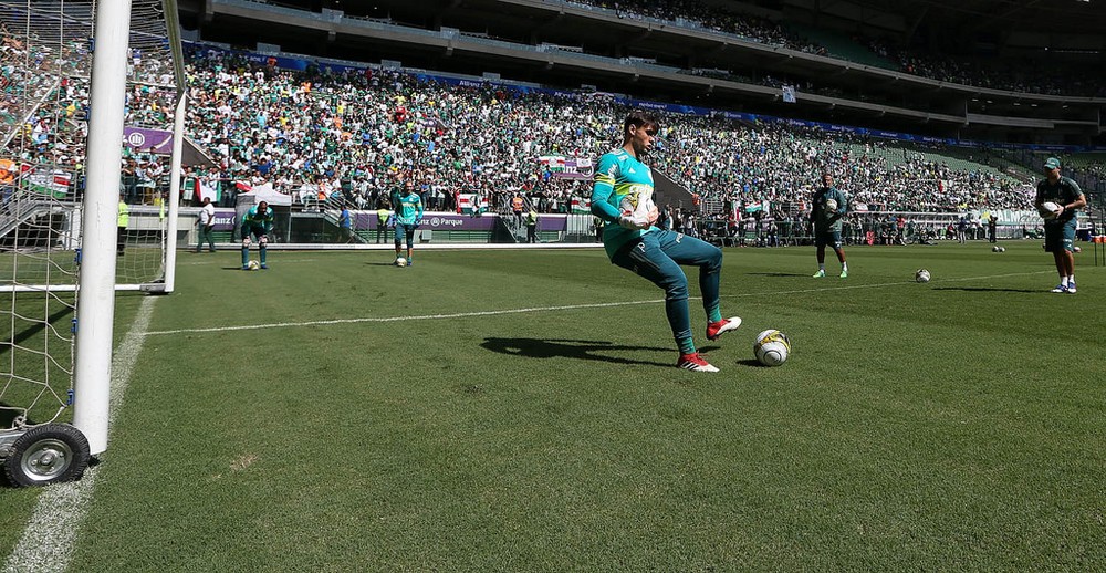 Palmeiras discute renovação com o goleiro Daniel Fuzato
