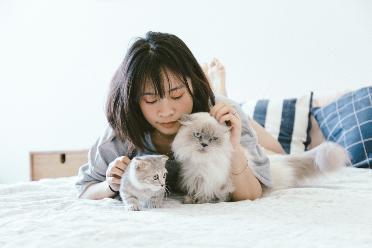 A teacher's interaction with a pet affects the mental health of both (Photo: Pexels/Tranmautritam/CreativeCommons)