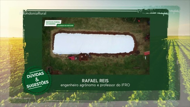 Parte 1: Silagem de Milho