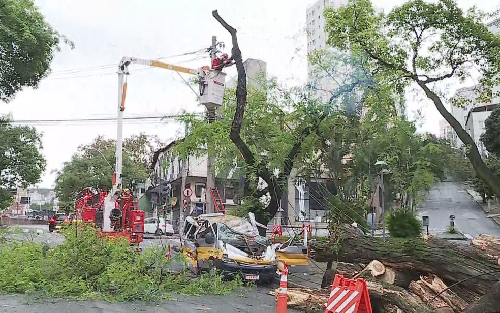 Equipe dos bombeiros e da prefeitura trabalharam na remoção de árvores e veículos após temporal em BH — Foto: Reprodução/TV Globo