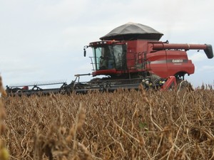 Colheita da soja em Mato Grosso (Foto: Leandro J. Nascimento/G1)