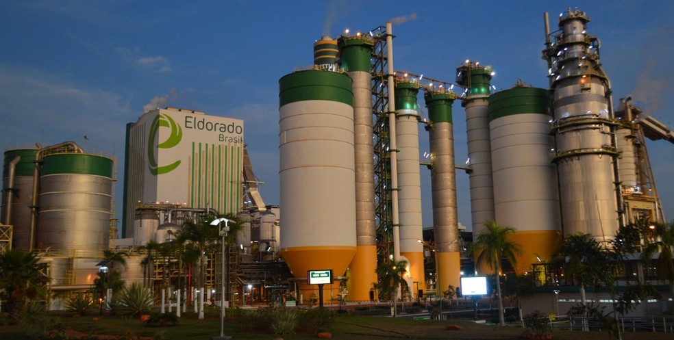 Empresa de fábrica de celulose, Eldorado Brasil — Foto: Silas Ismael/Divulgação