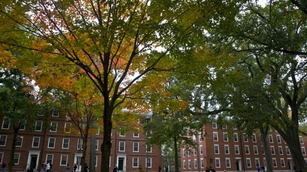 O debate sobre ações afirmativas em universidades divide os Estados Unidos há décadas. A decisão da Suprema Corte deve ser anunciada em meados de 2023. — Foto: KRIS SNIBBE/HARVARD UNIVERSITY/via BBC