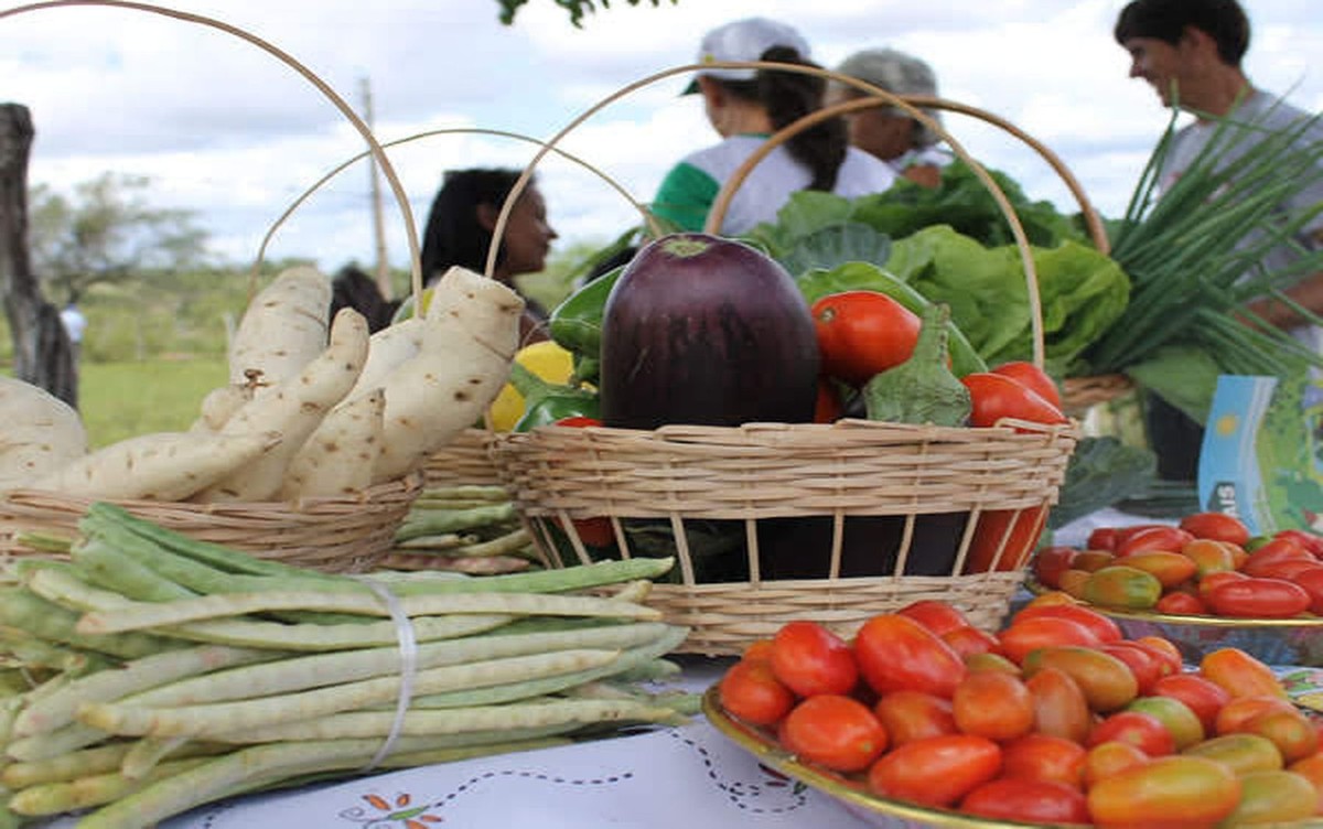 Governo De Se Abre Chamada Pública Para Compra De Alimentos Da Agricultura Familiar Sergipe G1 2286