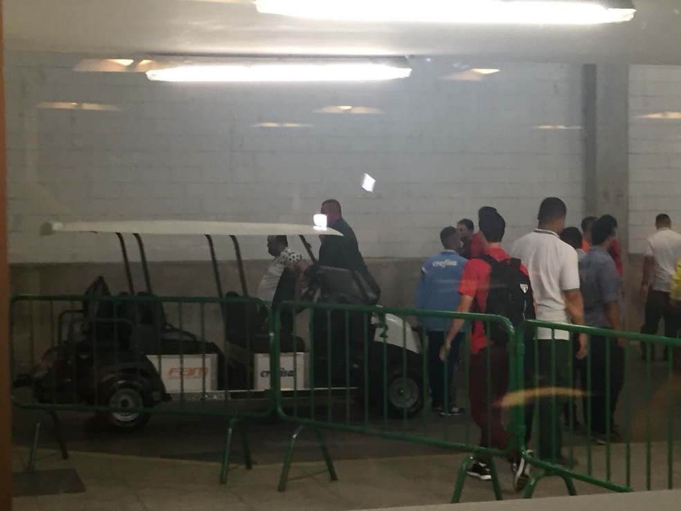 Torcedor do Palmeiras é retirado por seguranças da arena (Foto: Felipe Zito)
