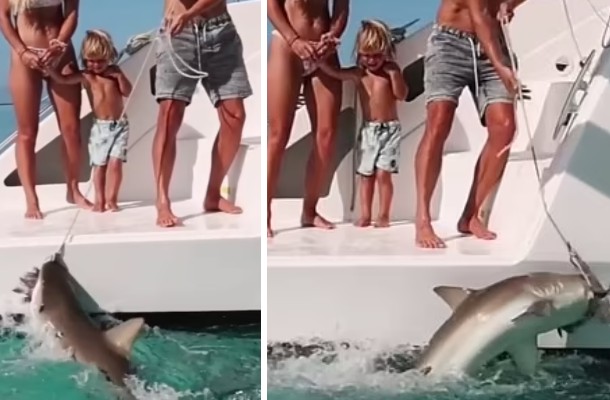 Menino observa tubarão sendo alimentado pelo pai (Foto: Reprodução/Daily Mail)
