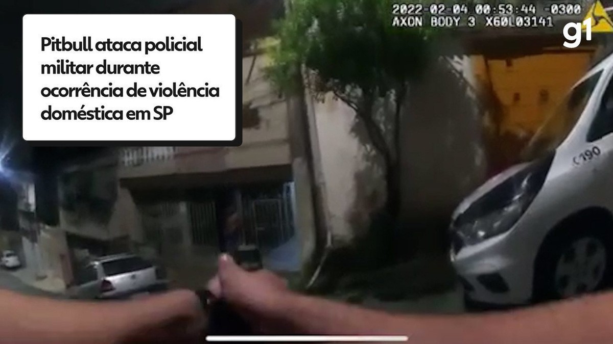 Homem é preso por agredir mulher e soltar pitbull para atacar policiais que atendiam ocorrência na Zona Leste de SP; veja vídeo | São Paulo
