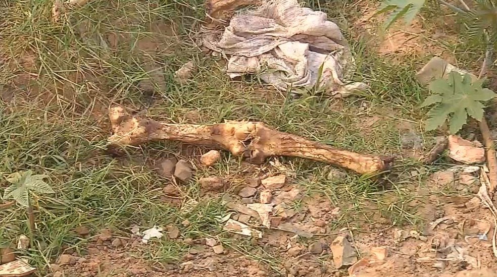 Ossos, seringas e até lâmpadas podem ser encontradas em terreno às margens de estrada em Botucatu (Foto: Reprodução / TV TEM)