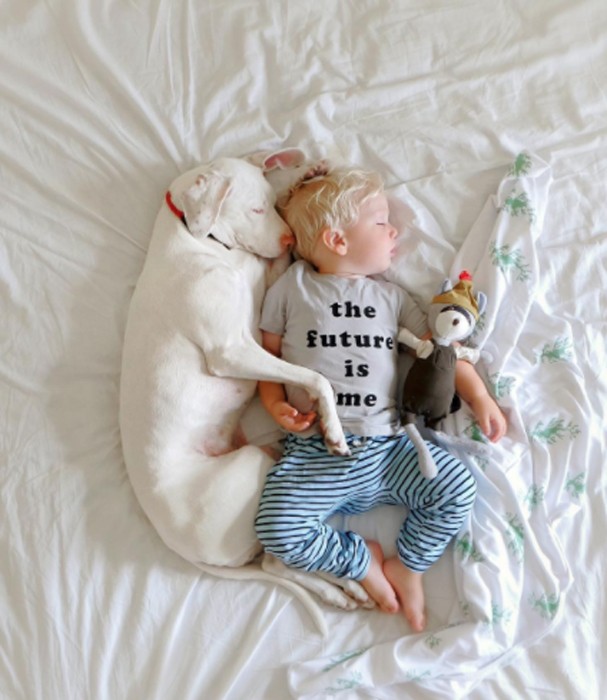 Cachorra Nora escolheu Archie como melhor amigo (Foto: Instagram/Reprodução) Cachorra Nora escolheu Archie como melhor amigo (Foto: Instagram/Reprodução)