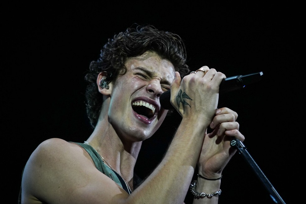 Shawn Mendes canta em show em São Paulo — Foto: Fábio Tito/G1