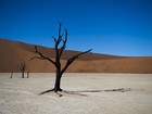 Deserto na Namíbia tem árvores mortas de 900 anos e dunas gigantes 