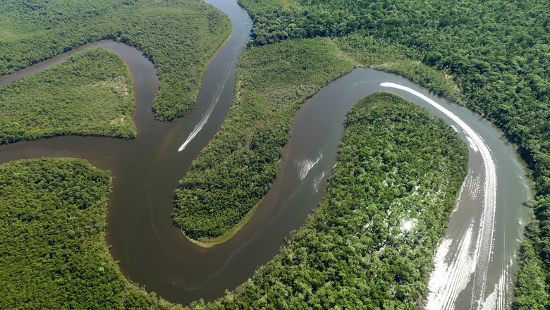 amazonia-rio (Foto: Instituto Ipe/Rede Lira)
