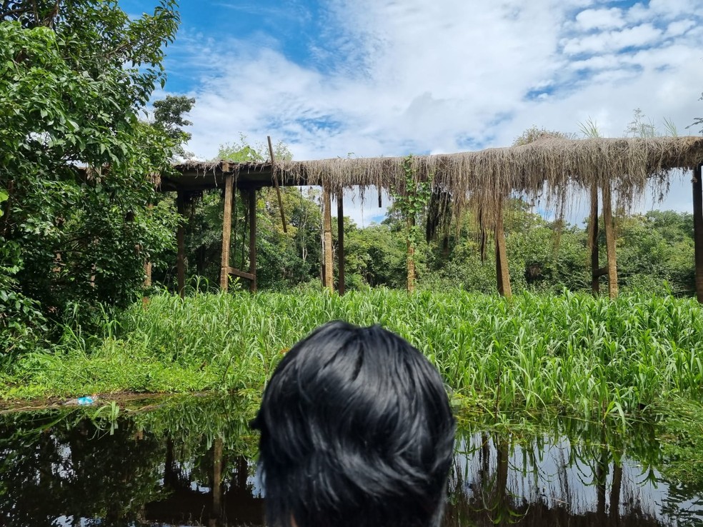 Atualmente, apenas ruínas da estrutura do Ariaú Amazon Towers podem ser vistas. — Foto: Luana Santos