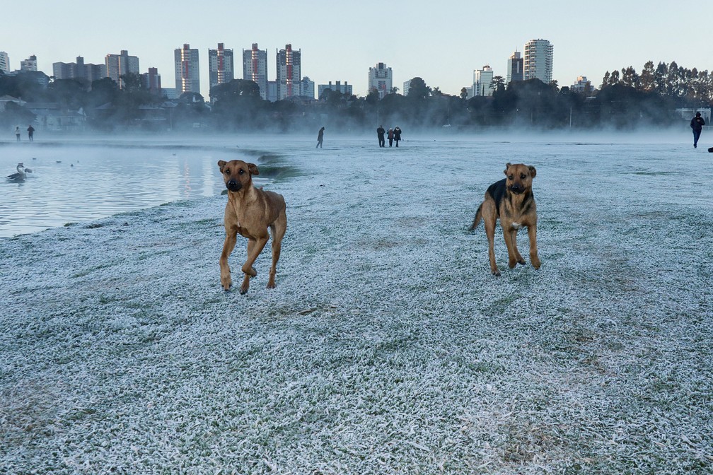 Geada Inspira Novo Tema Da Serie Fotografica Olhar Curitiba Parana G1