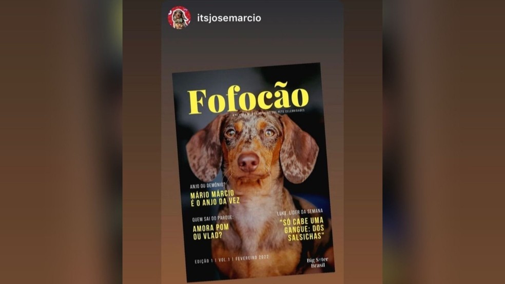 Revista Fofocão é elaborada por Márcio, que é tutor de José Márcio, e compartilhada no perfil do cachorro. — Foto: Reprodução/RedesSociais