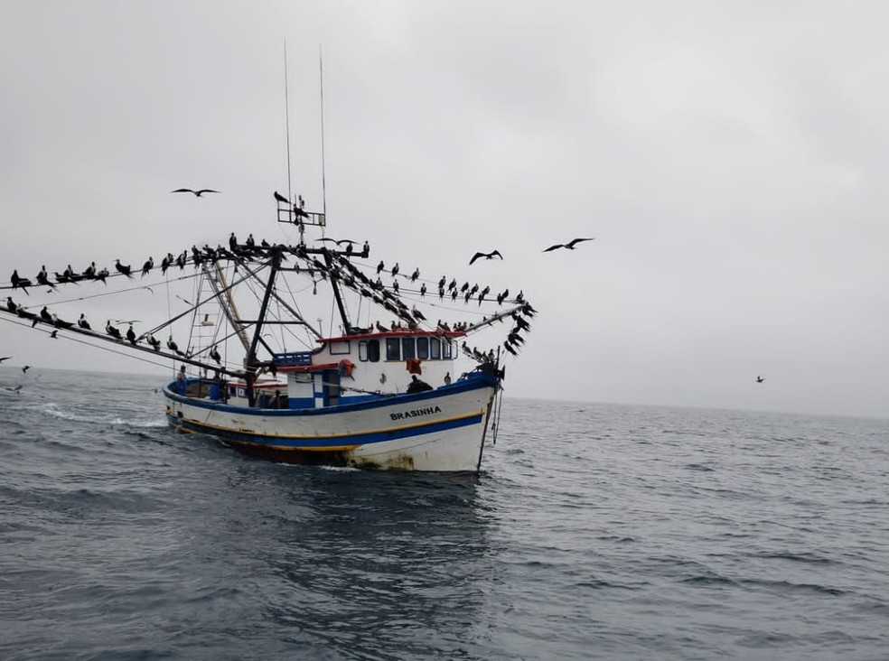 Embarcação apreendida com 2,2 toneladas de pescado irregular em Arraial do Cabo, no RJ — Foto: Resex Marinha Arraial do Cabo/ICMBio