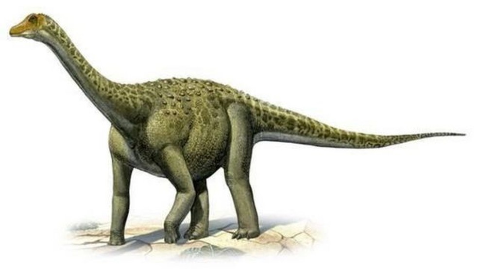 O Titanosaurus indicus foi descoberto depois que foram encontradas vértebras gigantes na cidade indiana de Jabalpur, no Estado de Madhya Pradesh (centro da Índia), em 1828 — Foto: Alamy