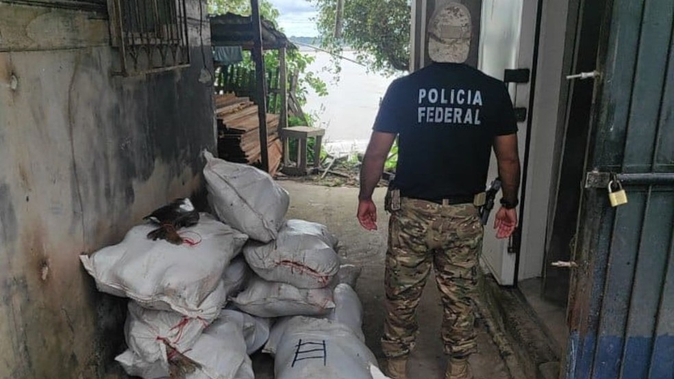 Polícia Federal apreende 1 tonelada de tambaquis — Foto:  Divulgação/PF