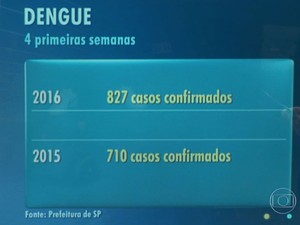 Casos de dengue confirmados em São Paulo (Foto: TV Globo/Reprodução)