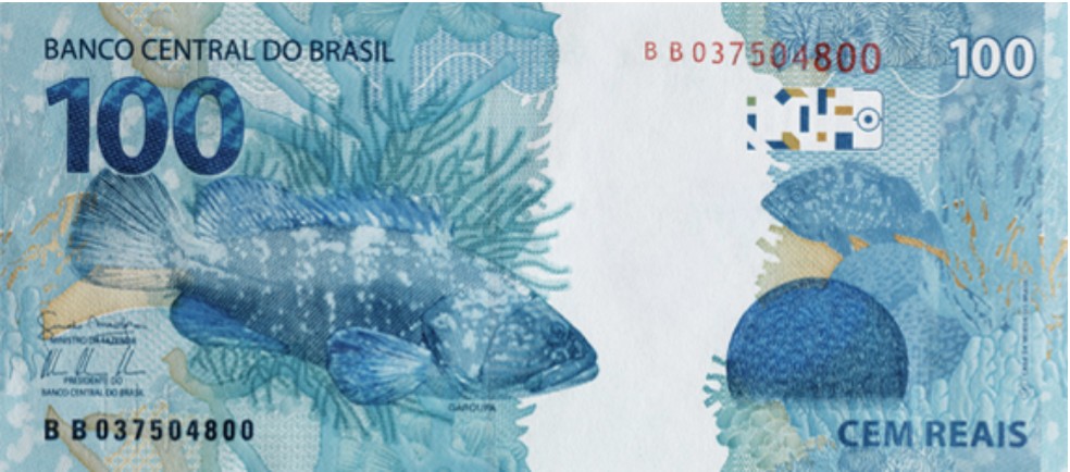 Nota de R$ 100,00 (verso) — Foto: Reprodução/Banco Central
