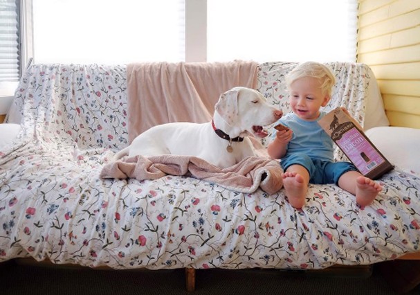 Cachorra Nora escolheu Archie como melhor amigo (Foto: Instagram/Reprodução) Cachorra Nora escolheu Archie como melhor amigo (Foto: Instagram/Reprodução)