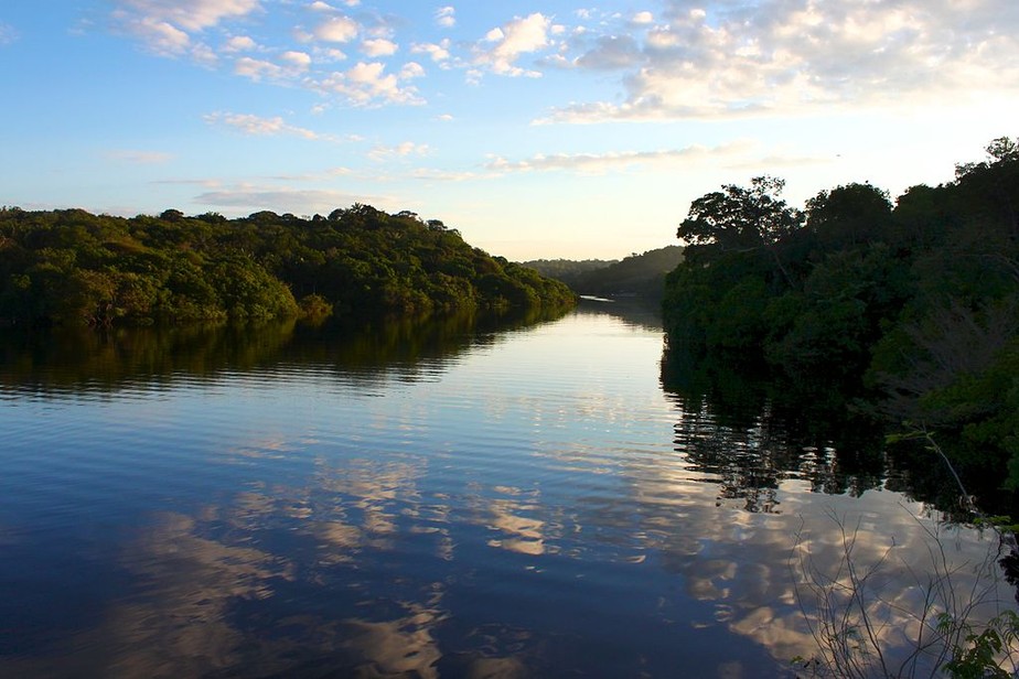 Fragmentação do território amazônico em ilhas prejudica fauna e flora