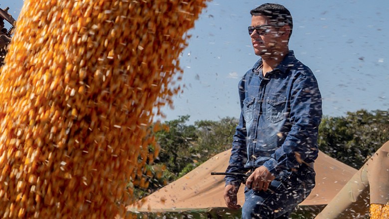 Etanol valoriza o milho em MT - Leandro Fernandes, da  Ideal Agro (Foto: Rogerio Albuquerque)