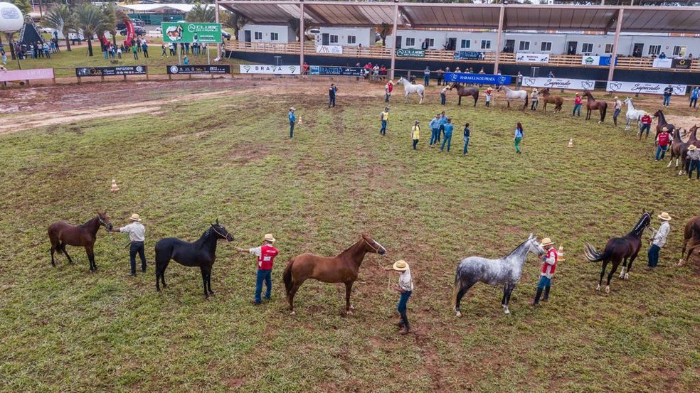 Animais em exposição na Granja do Torto — Foto: Seagri/Divulgação